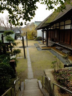 新羽　西方寺　蝋梅（ロウバイ）
