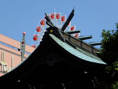 杉山神社（染井吉野）
