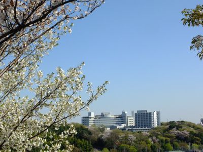 柚木の丘（センター南方面を眺望する）
