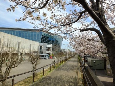横浜国際プール
