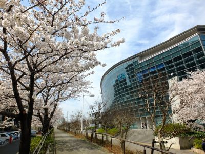 横浜国際プール
