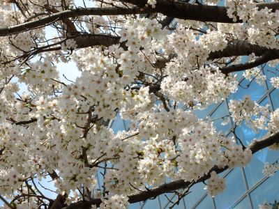 横浜国際プール
