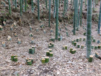 横浜国際プール
