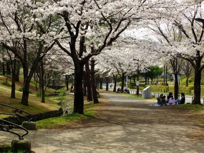 ふじやとのみち
