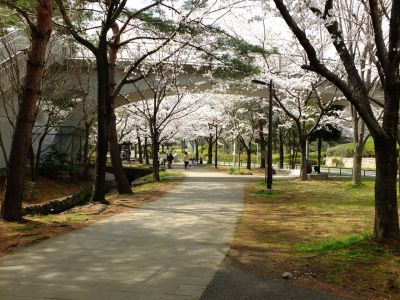 ふじやとのみち
