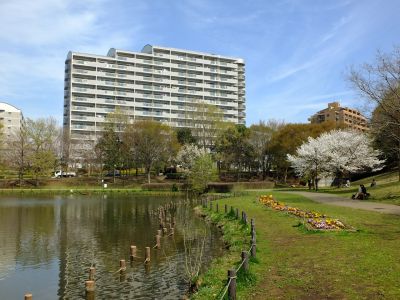 徳生公園（大島桜）
