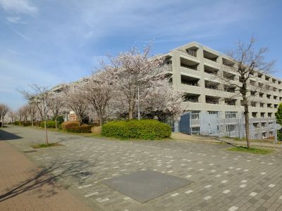 都筑小学校近くの緑道
