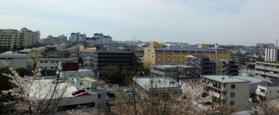 山田富士山頂よりの風景
