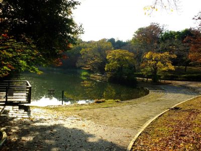 鴨池公園
