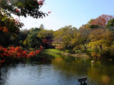 鴨池公園
