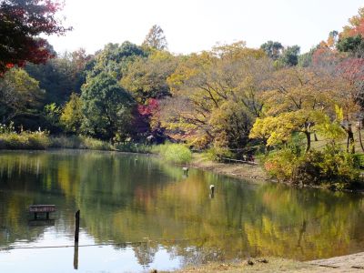 鴨池公園
