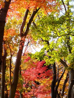 鴨池公園（まんまる広場）
