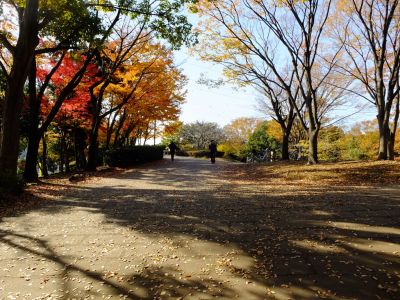 鴨池公園（まんまる広場）
