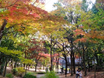 ささぶねの道（御影橋）
