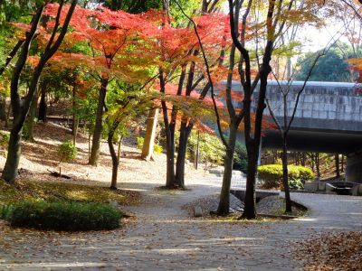 ささぶねの道（御影橋）
