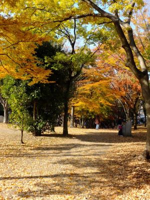 ささぶねの道（葛が谷公園）
