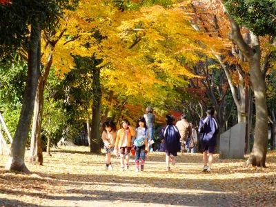 ささぶねの道（葛が谷公園）
