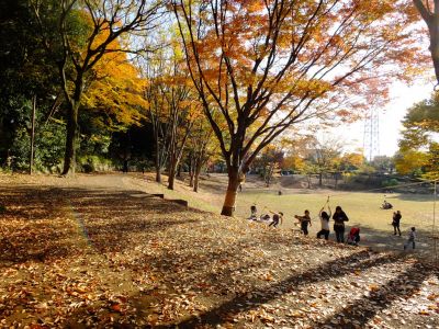 鴨池公園（まんまる広場）
