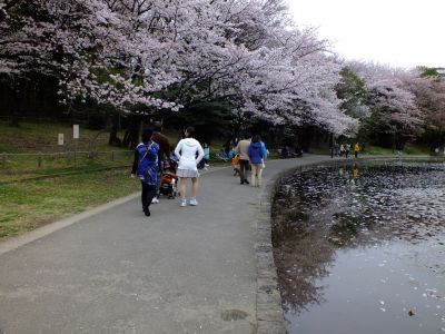 せせらぎ公園
