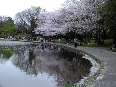 せせらぎ公園
