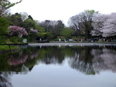 せせらぎ公園
