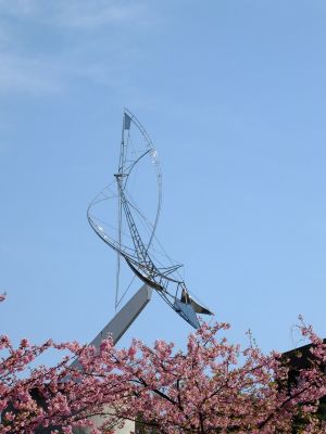 茅ヶ崎公園（河津桜）
