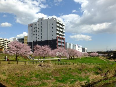 親水広場の神代曙
