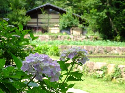 都筑中央公園ばじょうじ谷戸
