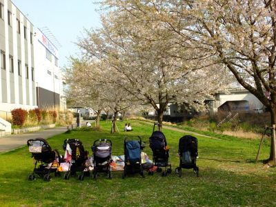 親水広場の神代曙
