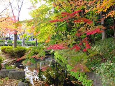 茅ケ崎の杉山神社
