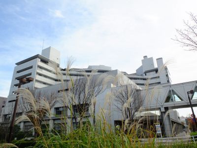 昭和大学北部病院
