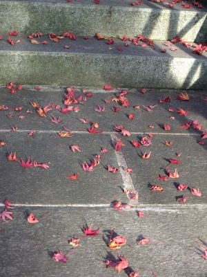 心行寺の紅葉
