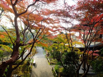 心行寺の紅葉
