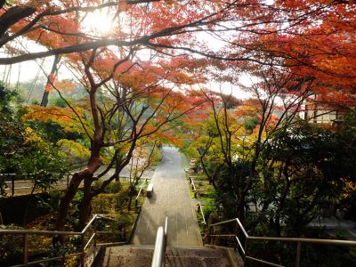 心行寺の紅葉
