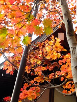 心行寺の紅葉
