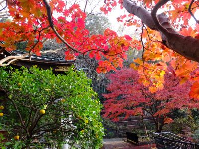 心行寺の紅葉
