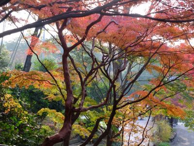 心行寺の紅葉

