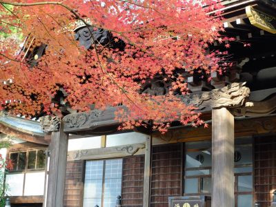 心行寺の紅葉
