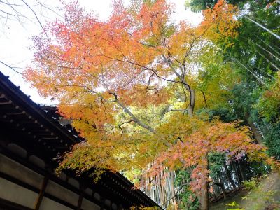 心行寺の紅葉
