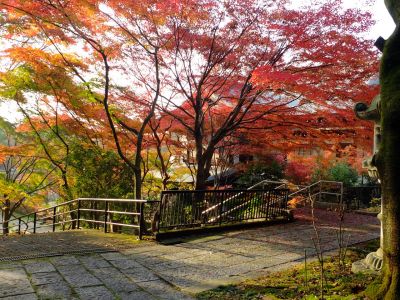 心行寺の紅葉
