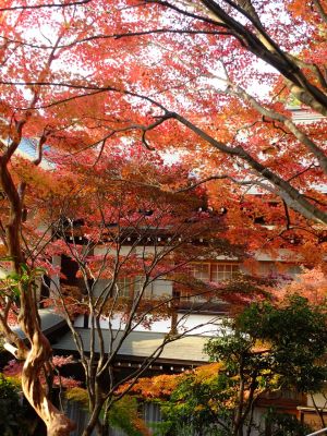 心行寺の紅葉
