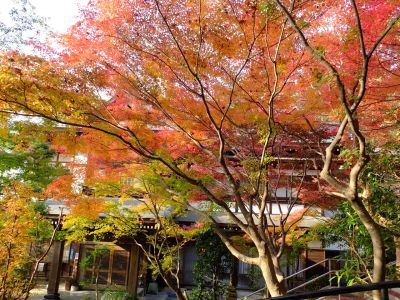心行寺の紅葉
