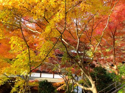 心行寺の紅葉
