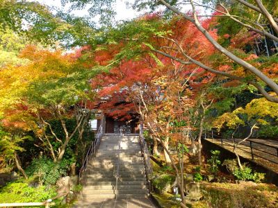 心行寺の紅葉
