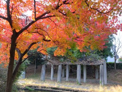 ささぶねの道（渋沢橋）
