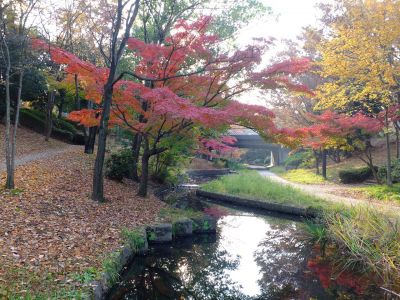 ささぶねの道（渋沢橋）
