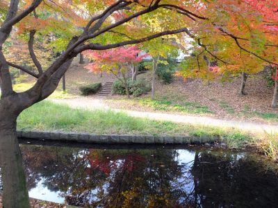 ささぶねの道（渋沢橋）
