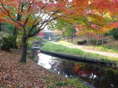 ささぶねの道（渋沢橋）
