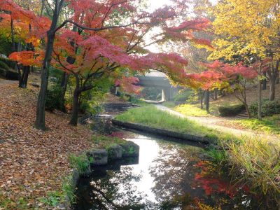 ささぶねの道（渋沢橋）
