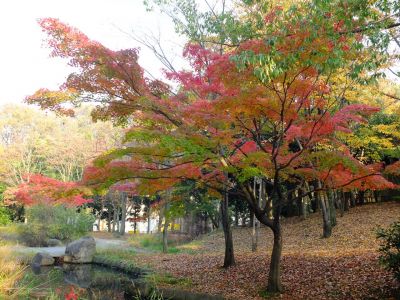 ささぶねの道（渋沢橋）
